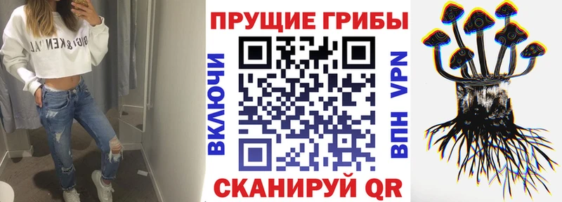 Галлюциногенные грибы MAGIC MUSHROOMS ОМГ ОМГ вход Калининград сколько стоит